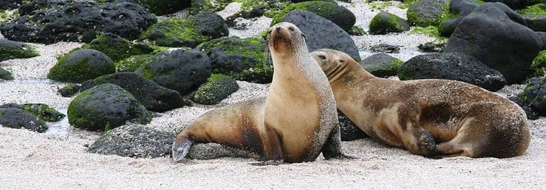 National Park Galapagos