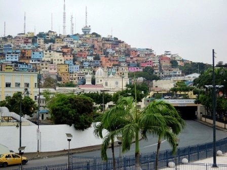 Guayaquil: picture of town or region