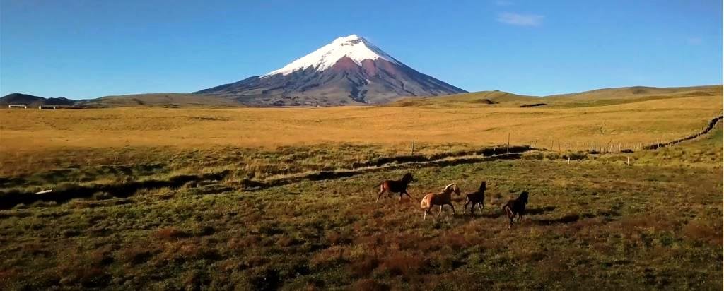 Lonely Planet focuses on Ecuador's tourist attractions 1 Blogv-vLonely Planet